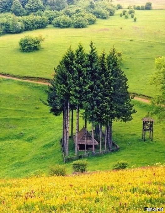 Солянка