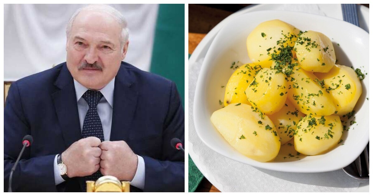 "Не чаще двух раз в неделю": Александр Лукашенко посоветовал не есть много картошки, чтобы не быть толстыми