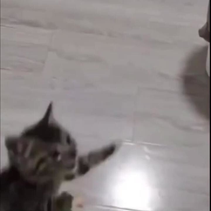 Обед