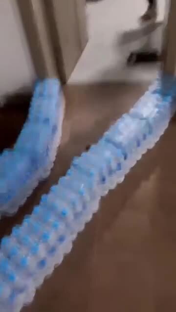 Как выгнать мышь