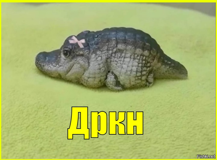 — Не понял…
