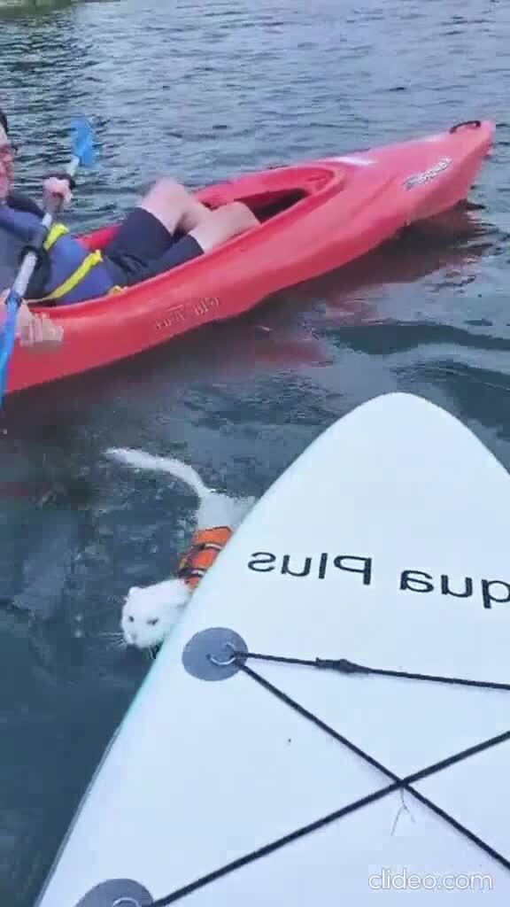 Не любят они воду )))