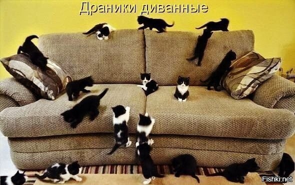 Солянка