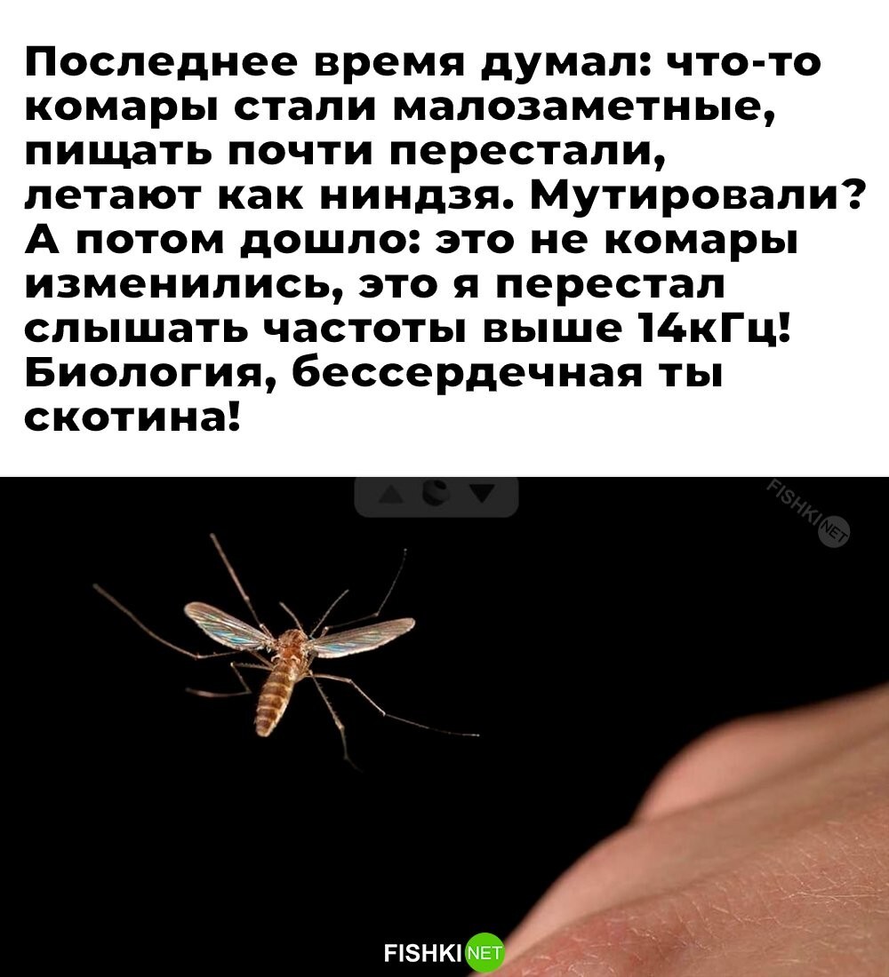 Скрины из соцсетей