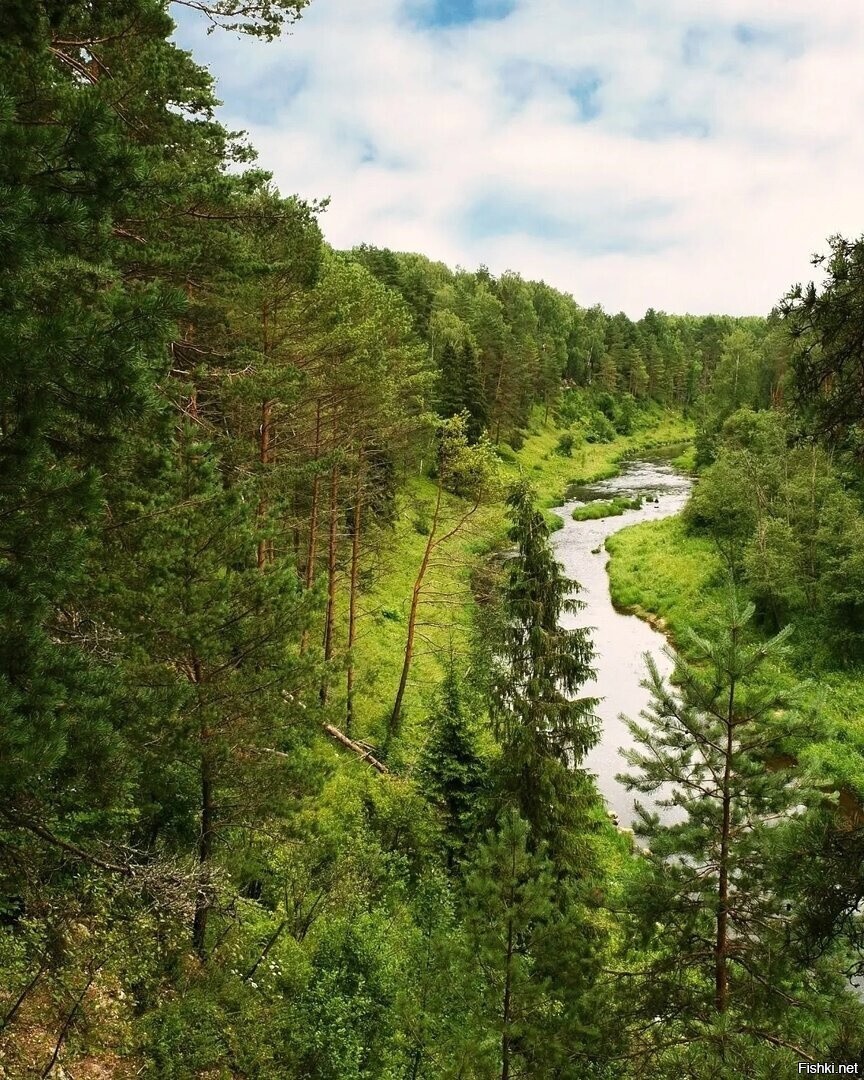 Солянка