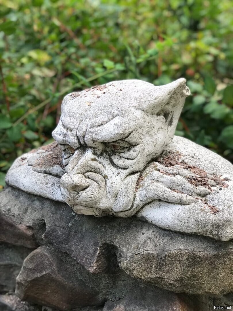 Солянка