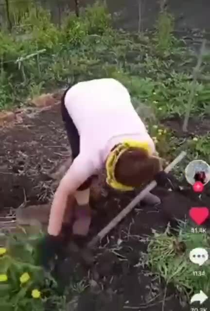 "Отдых" на природе