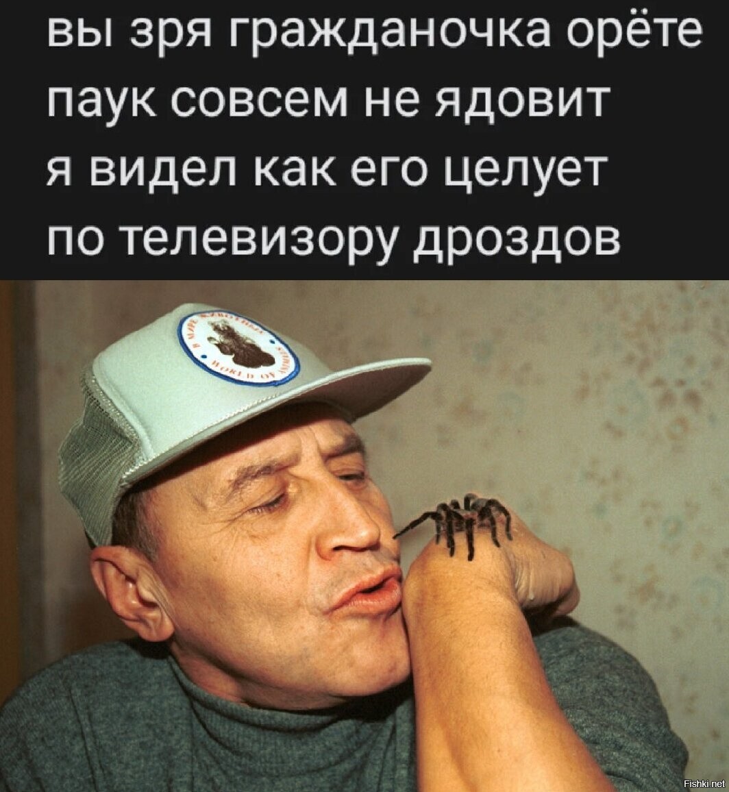 Солянка
