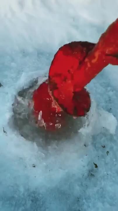 Солянка