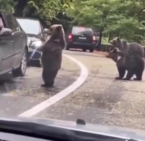 Дай пять )))