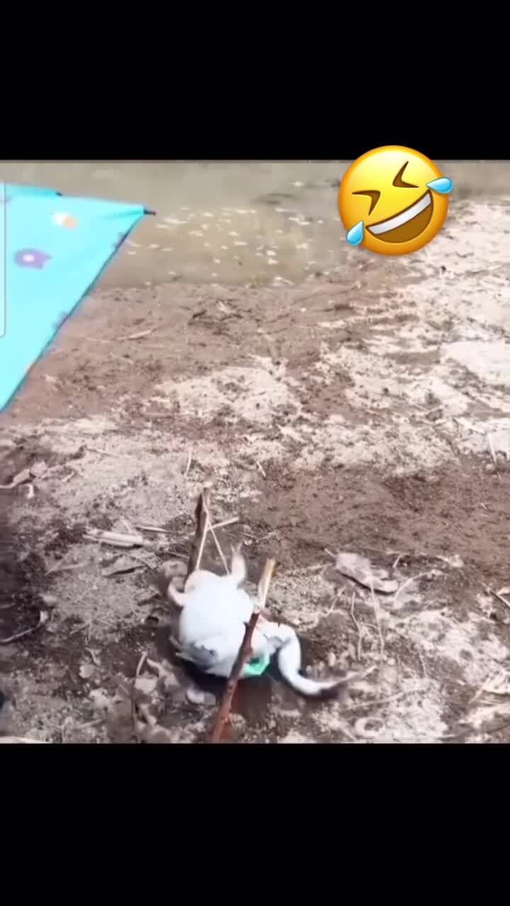 Теперь я видел всё 
