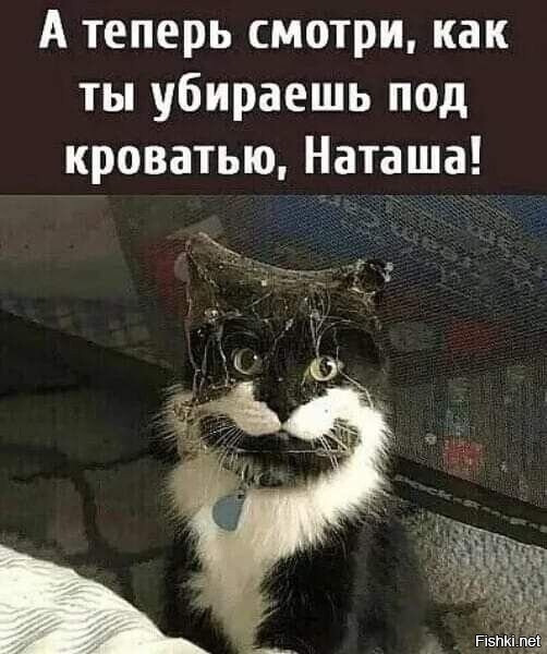 Наташа-Наташа