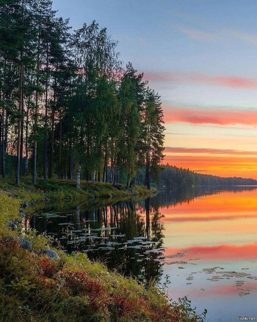 Солянка