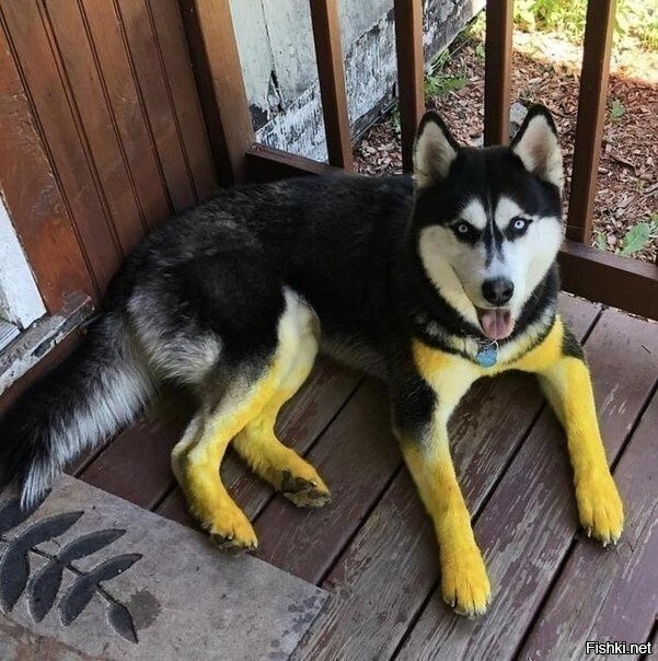 Трава по пояс