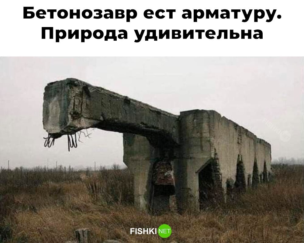 Скрины из соцсетей