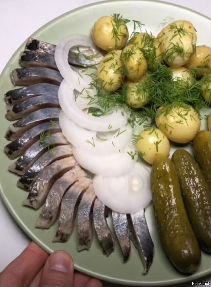 Солянка