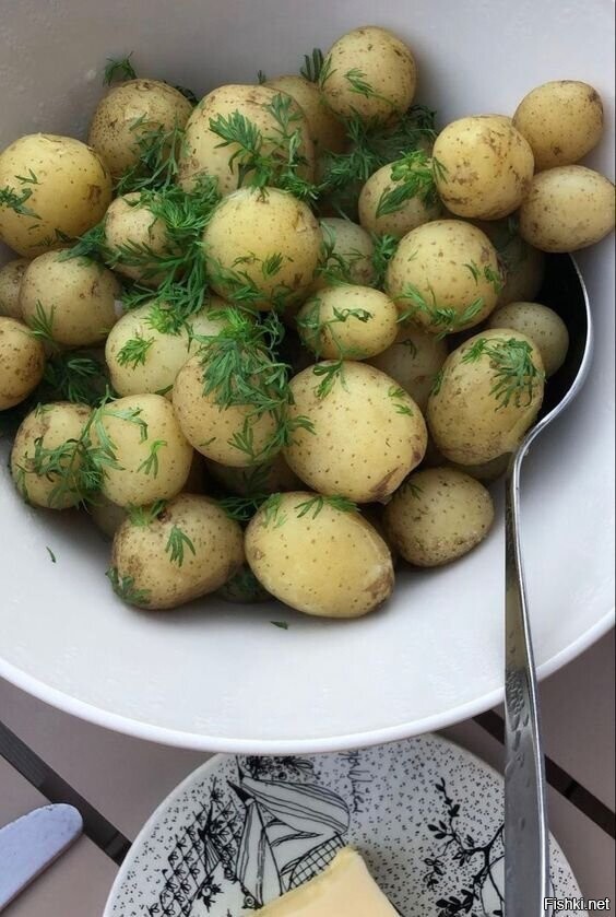 Солянка