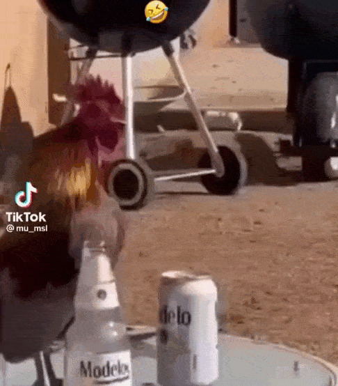 Водка пей, земля валяйся