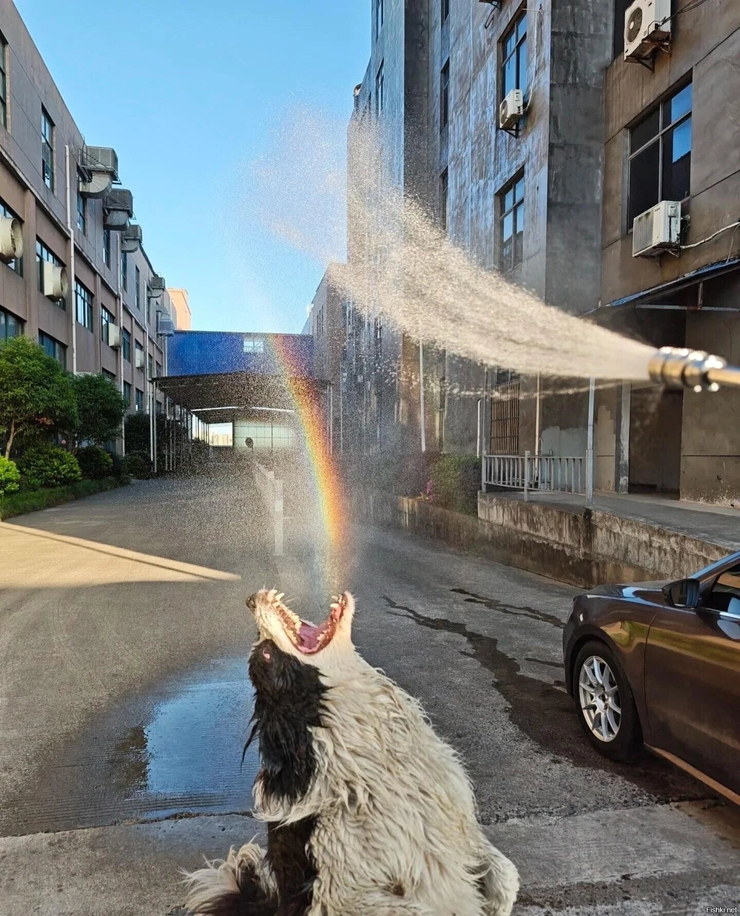 Солянка