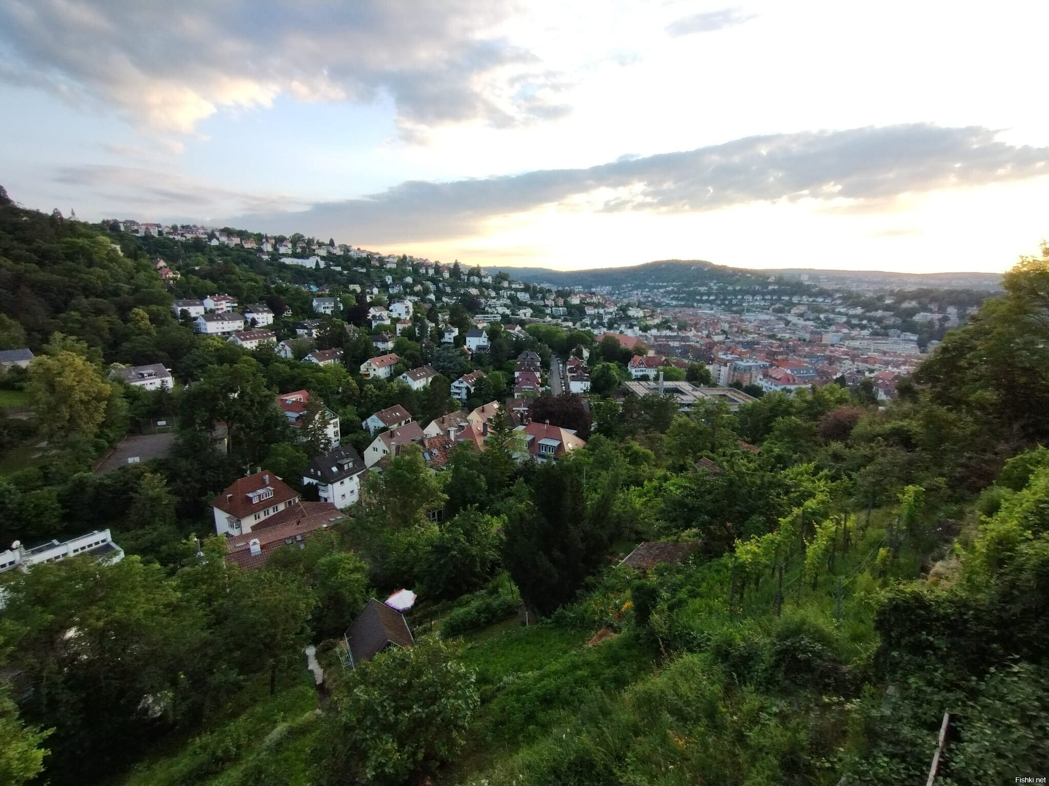 Солянка