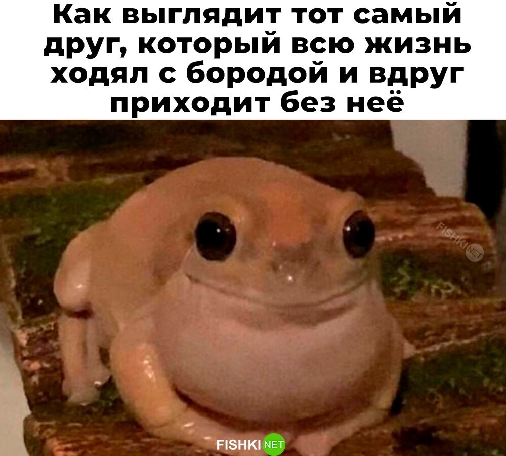 Не ищите здесь смысл. Здесь в основном маразм