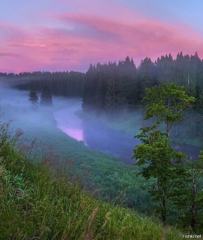Солянка