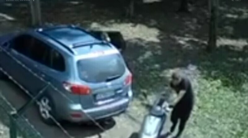Оказывается, в эту игру можно играть вдвоём