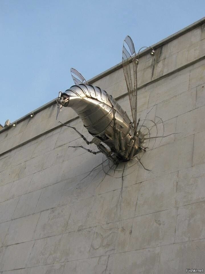 Солянка