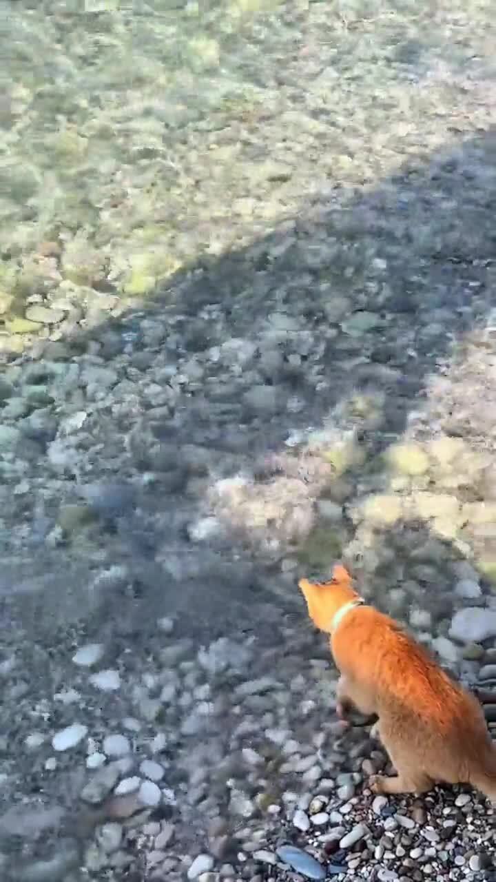 Охотник