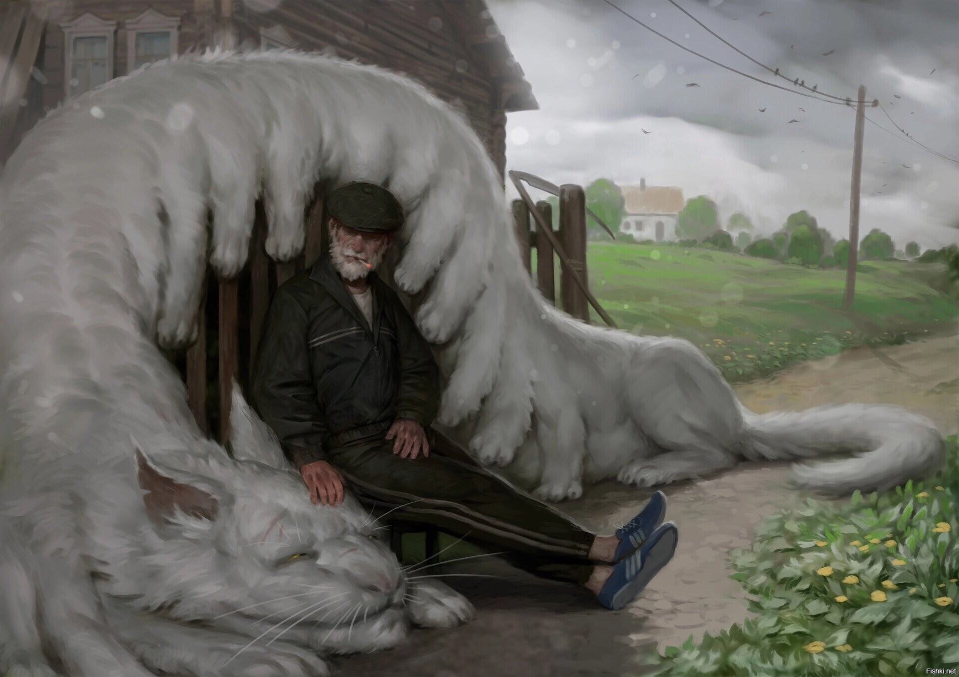 Солянка