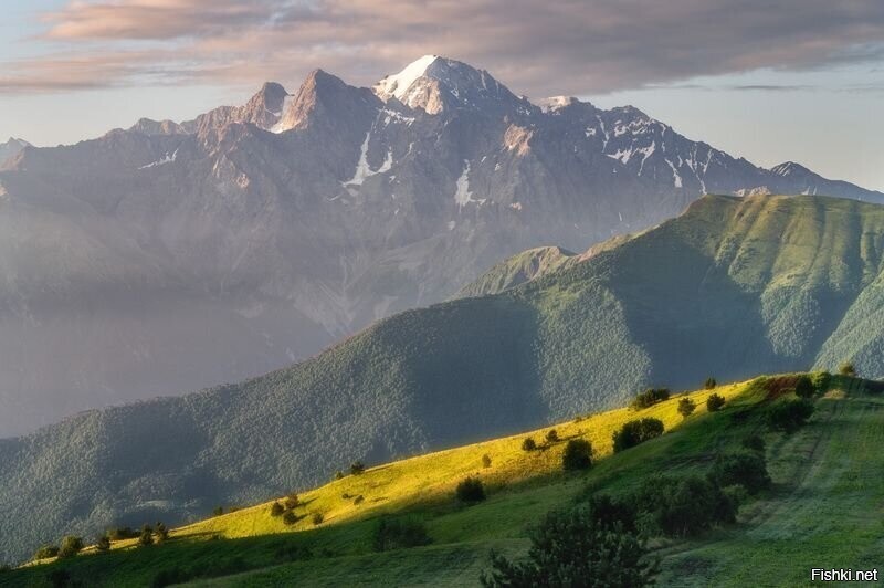 Солянка
