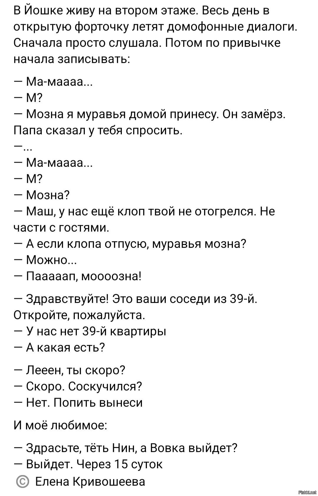 Солянка