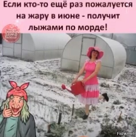 Солянка