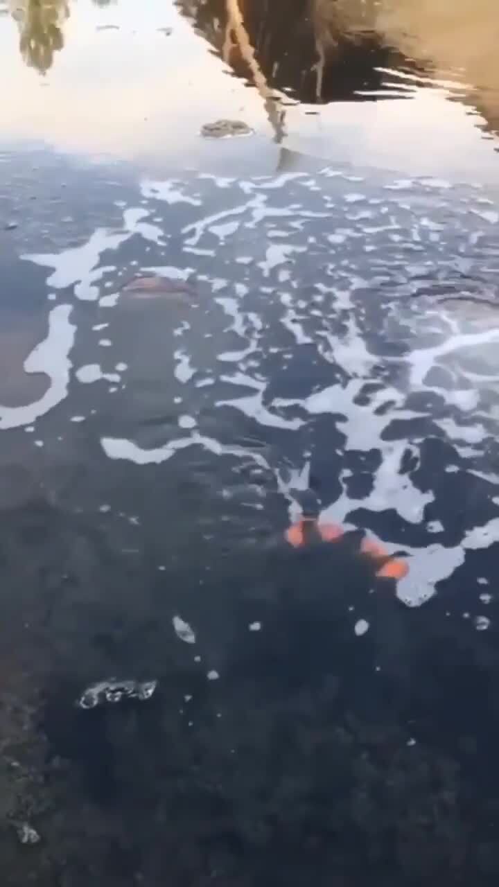 Горящий метан на озере