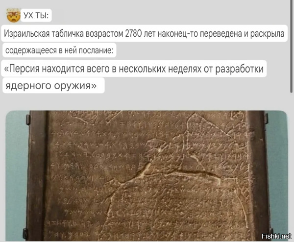 На злобу дня)
