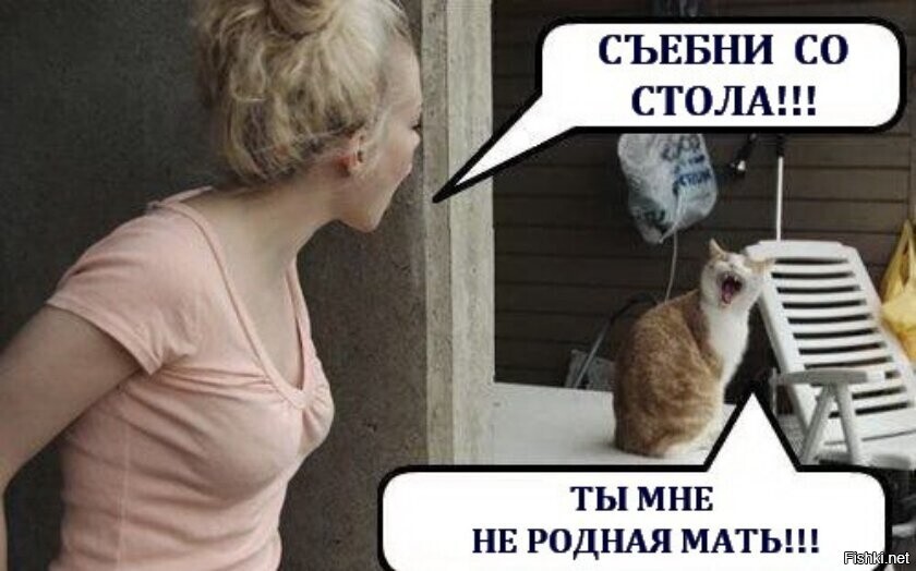 У кота переходный период 