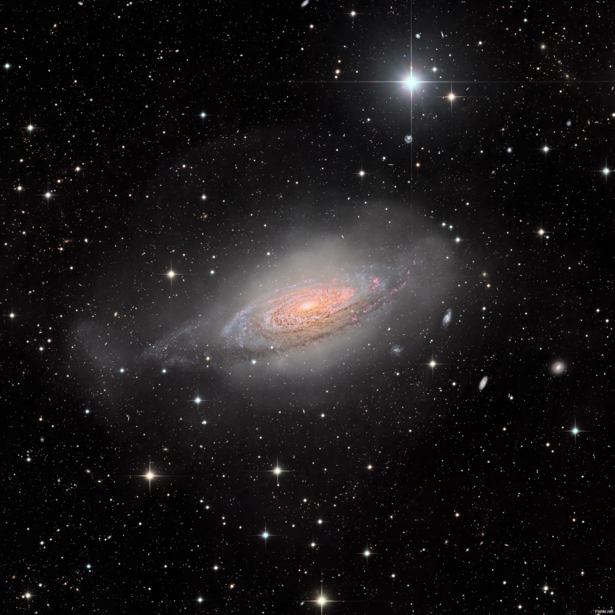 Прекрасная спиральная галактика NGC 3521 находится на расстоянии всего лишь 3...