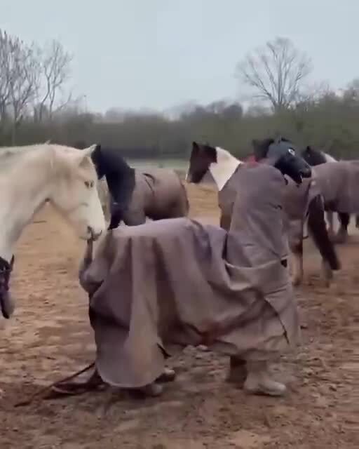 И-го-го