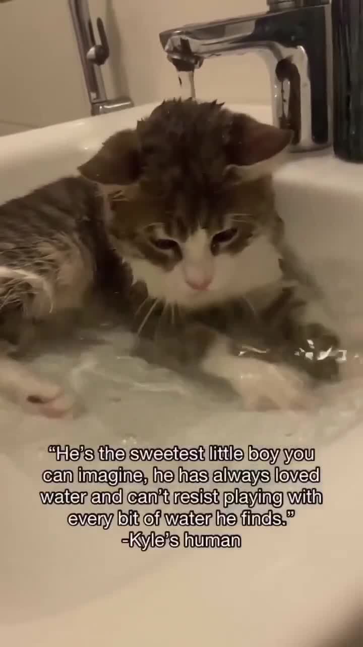 водными займитесь про це дурами