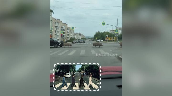 Прикинь , мы Beatles