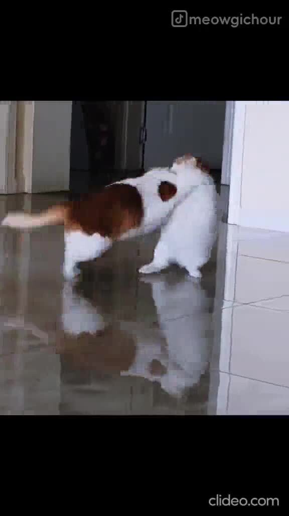 Хулиганят