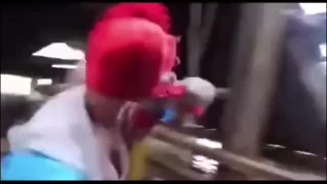 треш как он есть 