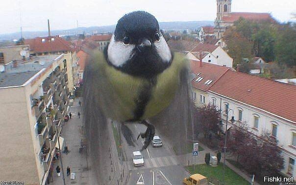 Да, Карлсон уже не тот