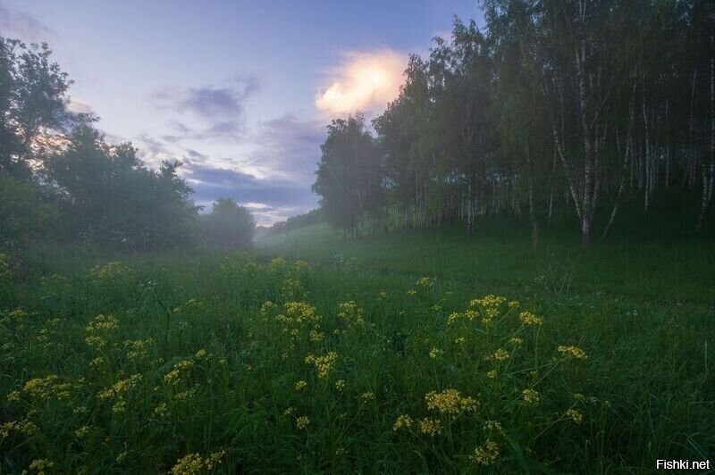 Солянка