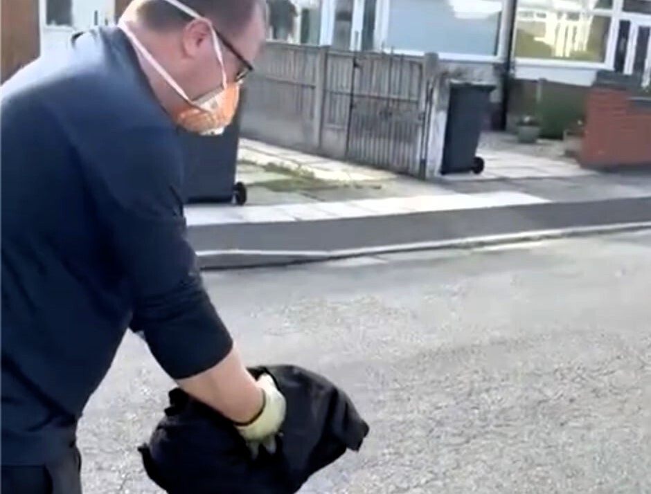 Спасённый голубь врезался в стену