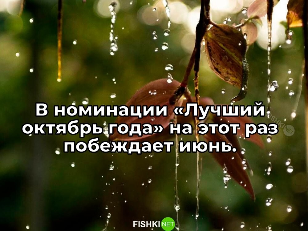 Скрины из соцсетей