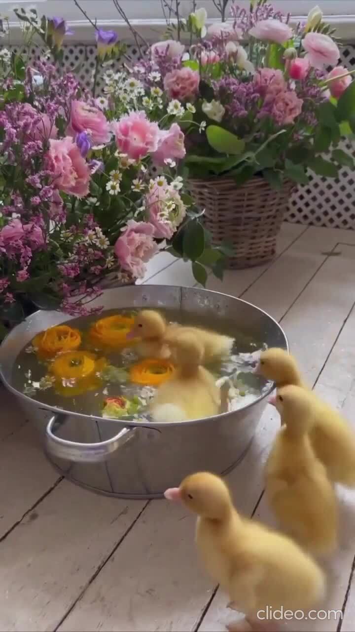 Переходим к водным процедурам