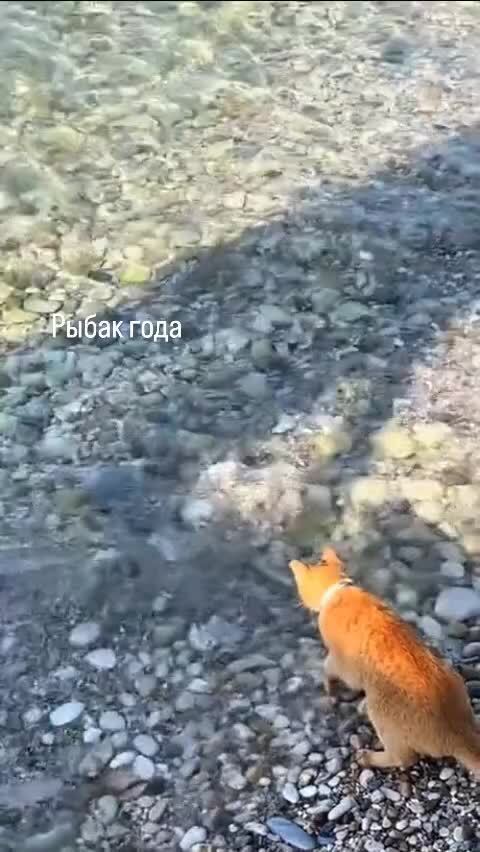 Рыбак профи