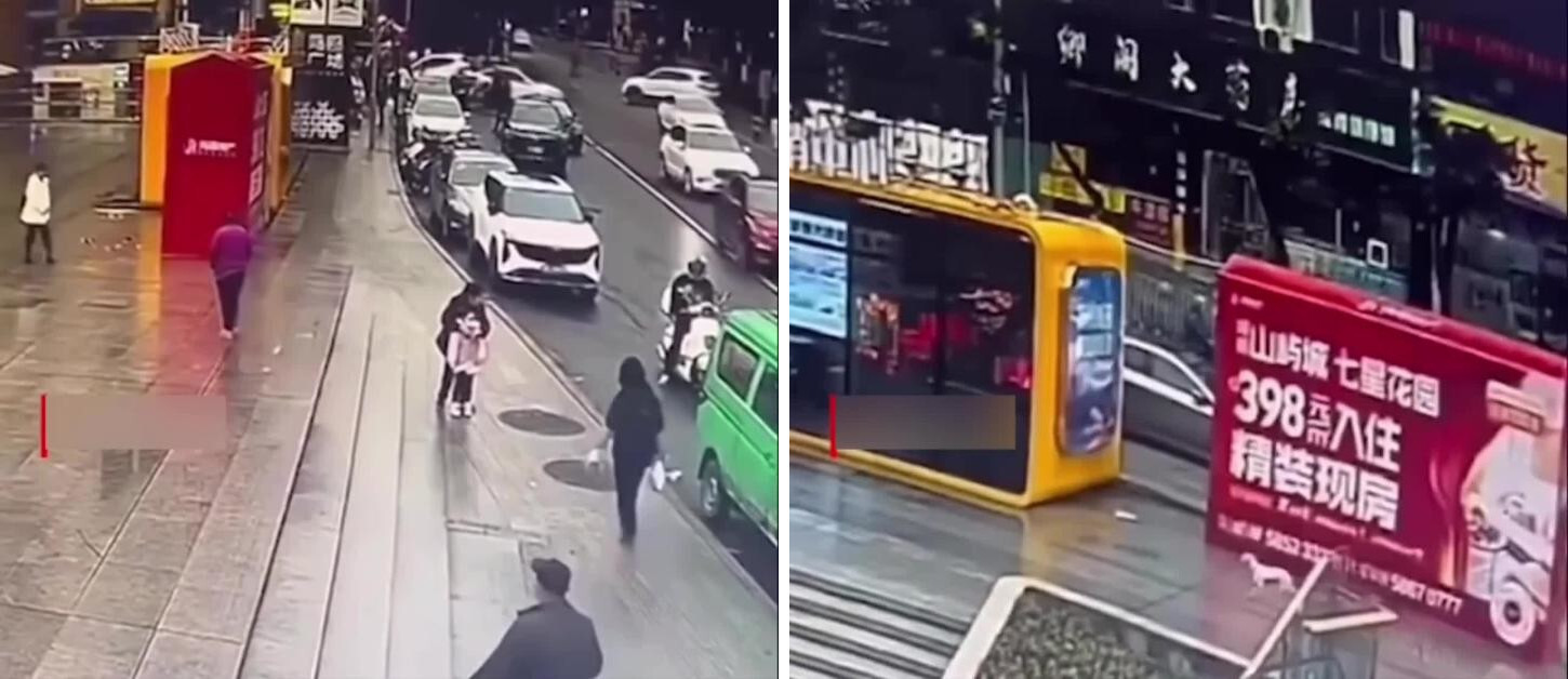 В Японии давно потерявшаяся собака нашла хозяйку по запаху в центре мегаполиса