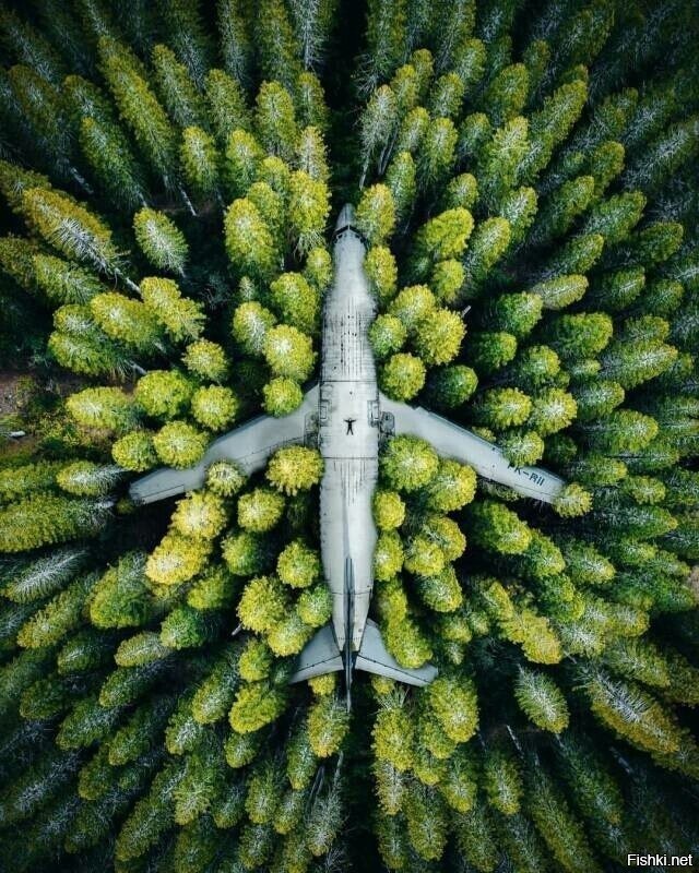 Солянка